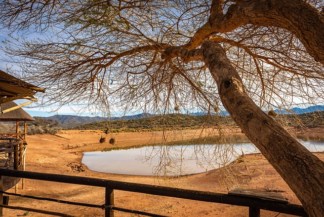 Luxury safari lodge Kenya