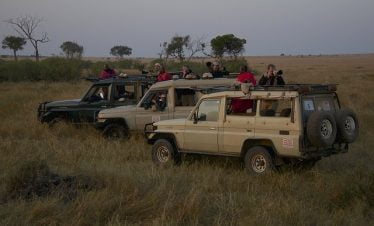 Kenya migration safari tours