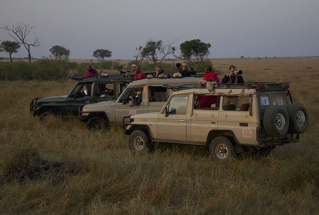 Kenya migration safari tours