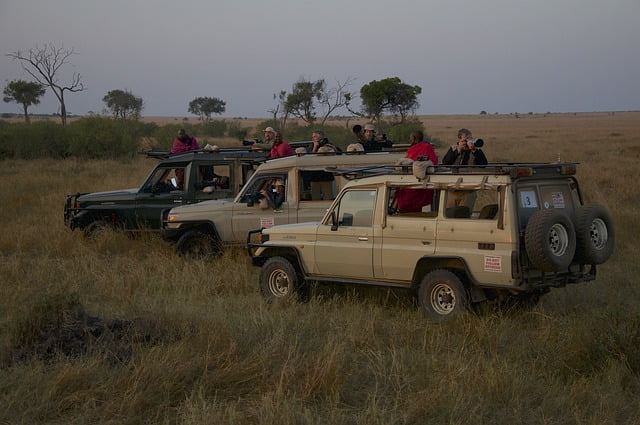 Kenya migration safari tours