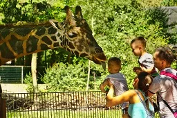 giraffe manor Nairobi Kenya