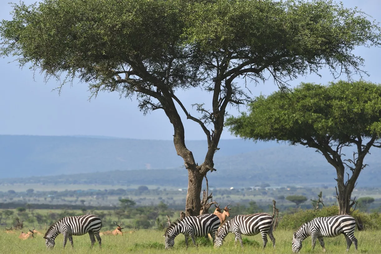 swara plains conservancy outskirts of Nairobi